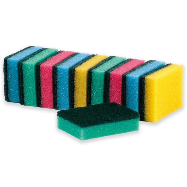 Dish sponge (10 pieces)