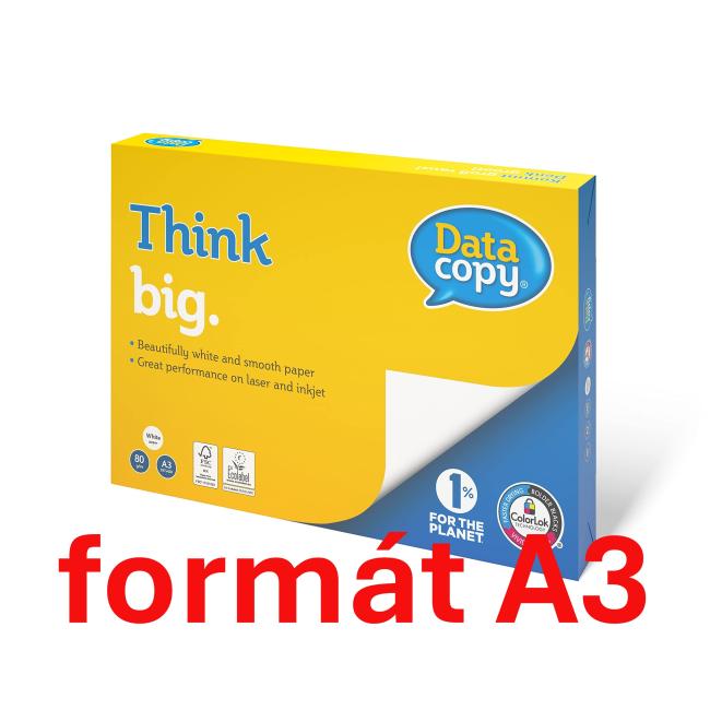 Copy paper Data Copy Everyday A3, 80g