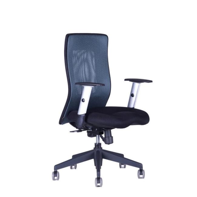 [OF161211] Office chair CALYPSO XL BP anthracite