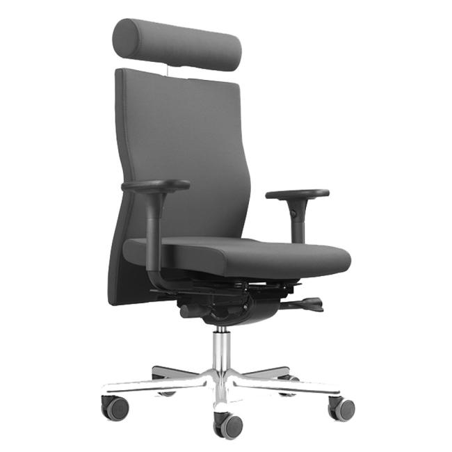 [OF350001] Balance chair LÖFFLER Lezgo LZ 73, A31 gray