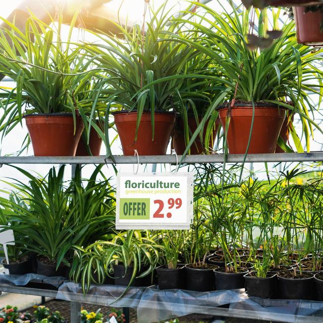 [DU505919] Vodeodolné vrecko s úchytkami Durable A5 5 ks Vodeodolné vrecko formát A5