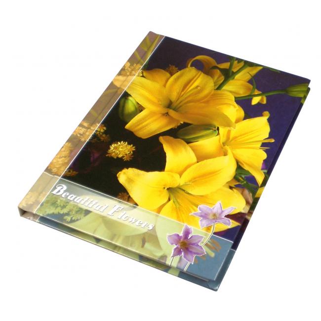 [EC016509] Record book A4 100 lined sheets