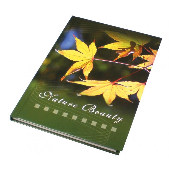 [EC016519] Record book A5 100 lined sheets