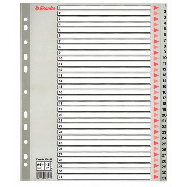 Plastic distributor Esselte 1-31 maxi gray