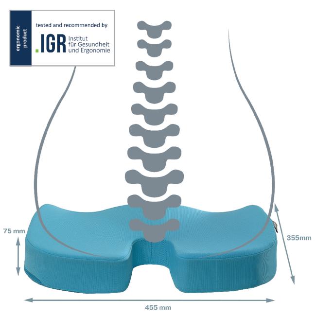 Podsedák Leitz Cosy Ergo calm blue