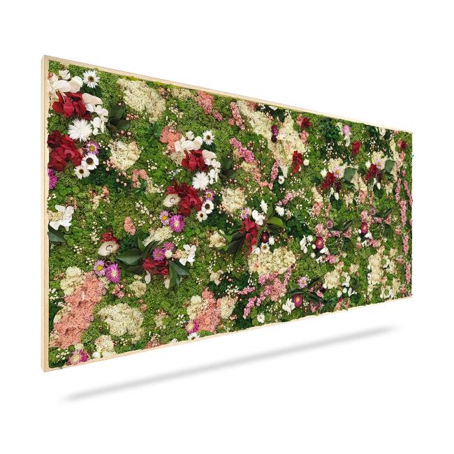 Moss painting PLANTS Huelma, 120x40cm, wooden white frame