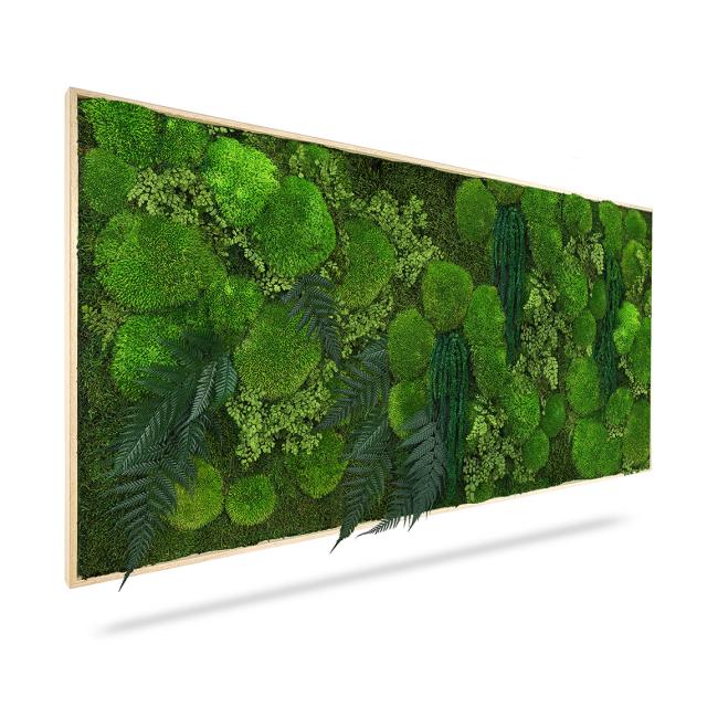 [BE000009] Moss painting PLANTS Moreilo, 60x40cm, wooden black frame