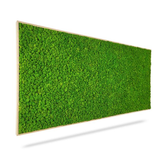 [BE000010] Machový obraz LIŠAJNÍK mono GREEN, 140x60cm, drevený biely rám