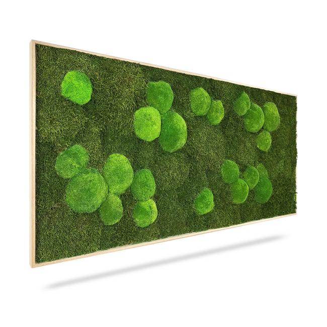 [BE000011] Machový obraz Light Green, 80x40cm, drevený svetlohnedý rám