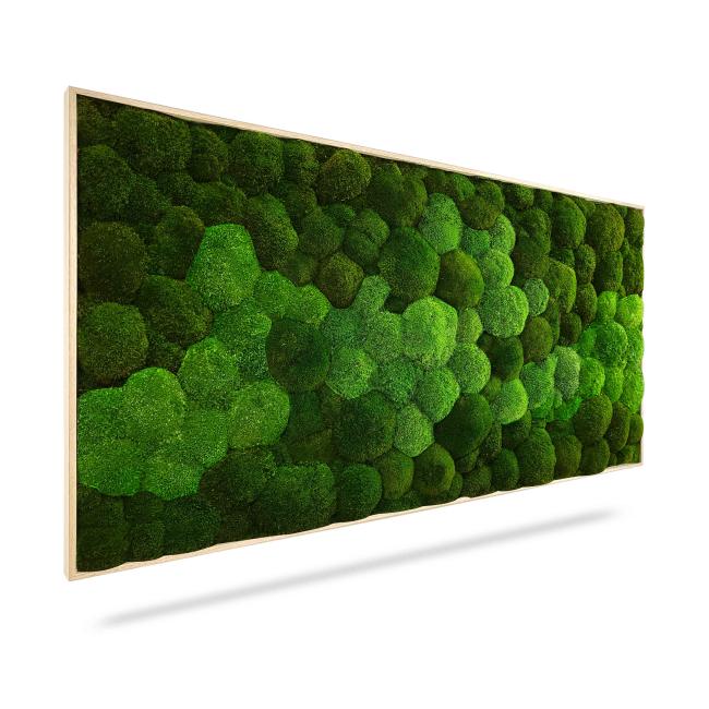 [BE000015] Machový obraz DUO Natural Green, 160x60cm, drevený čierny rám