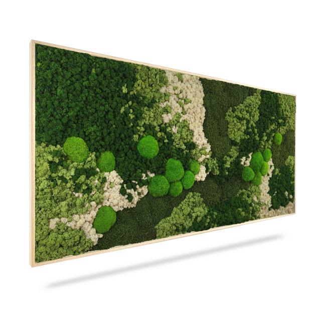Moss painting ORTHO FOREST, 40x40cm, wooden black frame