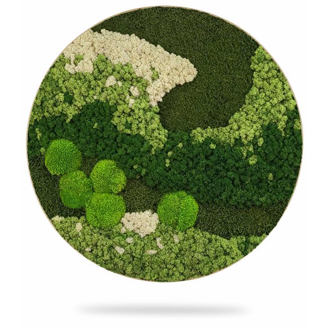 [BE000023] Moss painting circle ORTHO FOREST, diameter 55 cm, oak frame