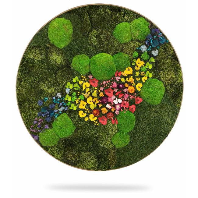 [BE000024] Machový maliarsky kruh RASTLINY Acebo, priemer 65 cm, dubový rám